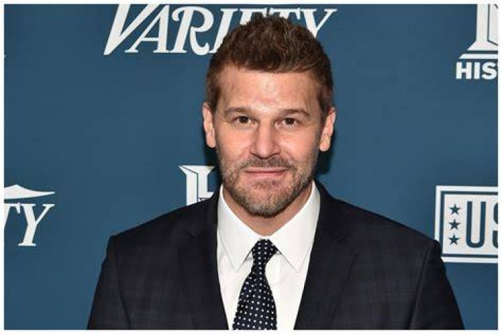 David David Boreanaz Photo (640846) Fanpop