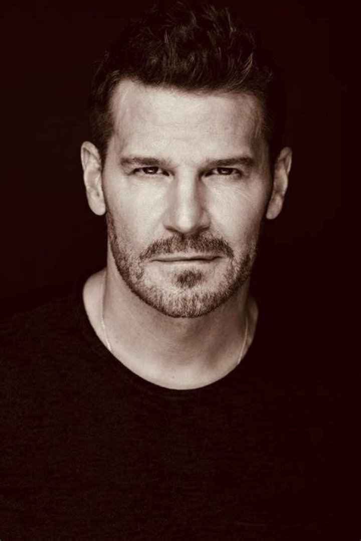 David David Boreanaz Photo (640923) Fanpop