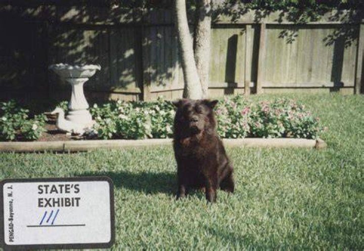 Evidence photos in the Belinda Temple murder case