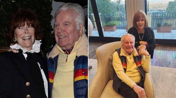 Jill St. John, Robert Wagner's Wife 5 Fast Facts