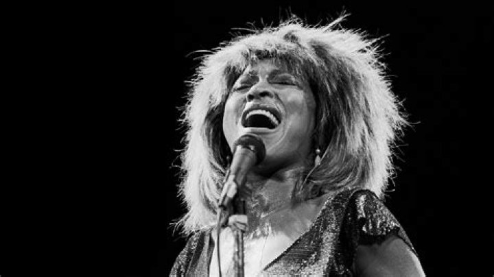 What Did Tina Turner's Son Die From